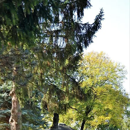 Hitjesvijver * Heerlen