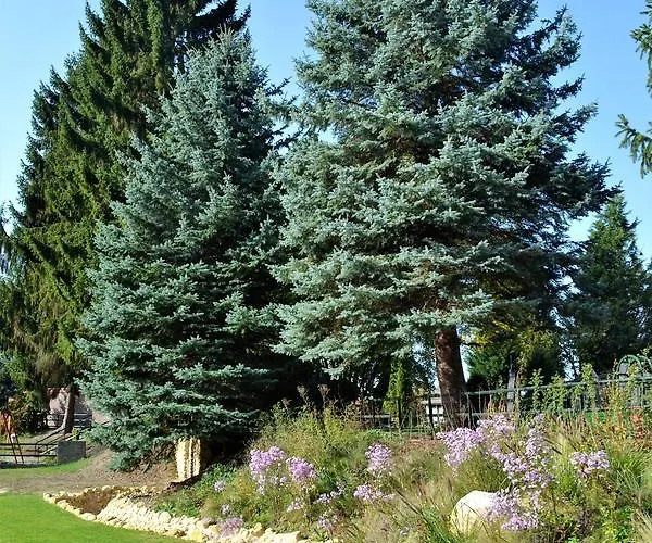 Hitjesvijver ヘールレン