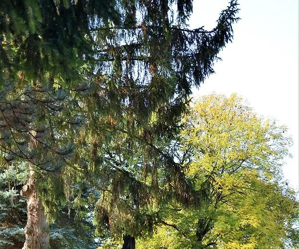 Hitjesvijver * ヘールレン